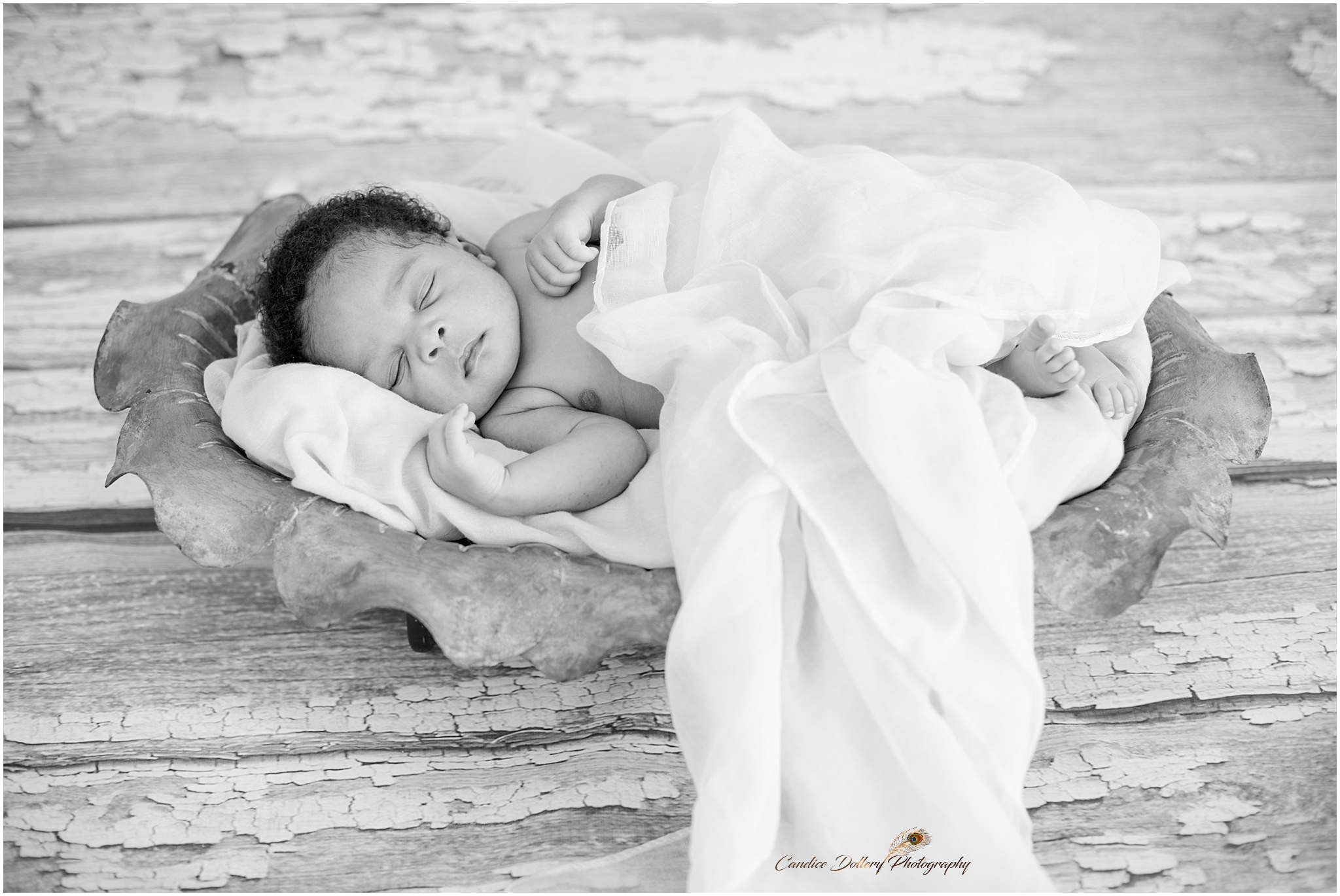 Newborn - Candice Dollery Photography_026