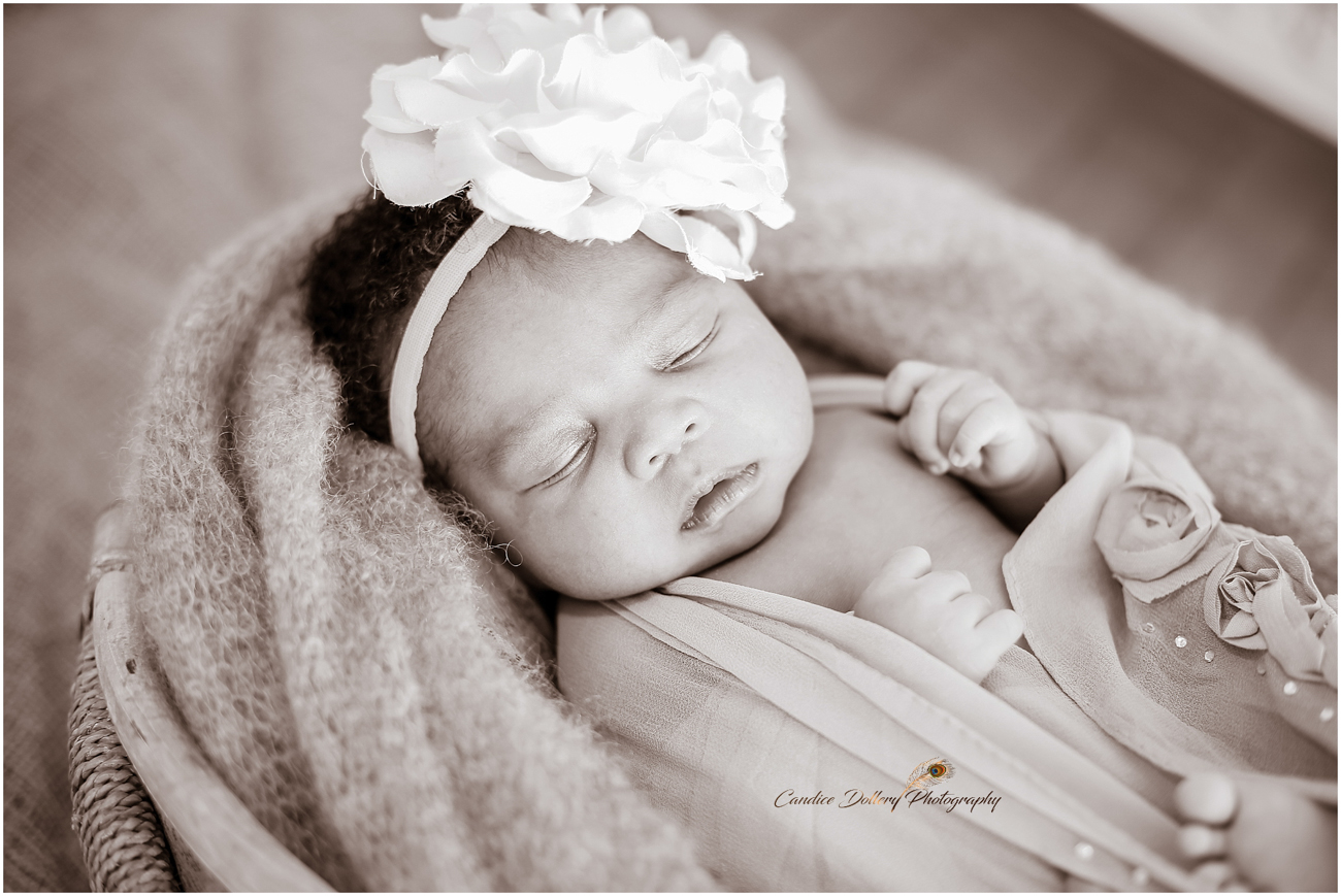 Newborn Azingce - Candice Dollery Photography_1105