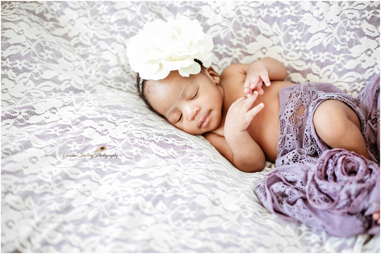 Newborn - Candice Dollery Photography_1058