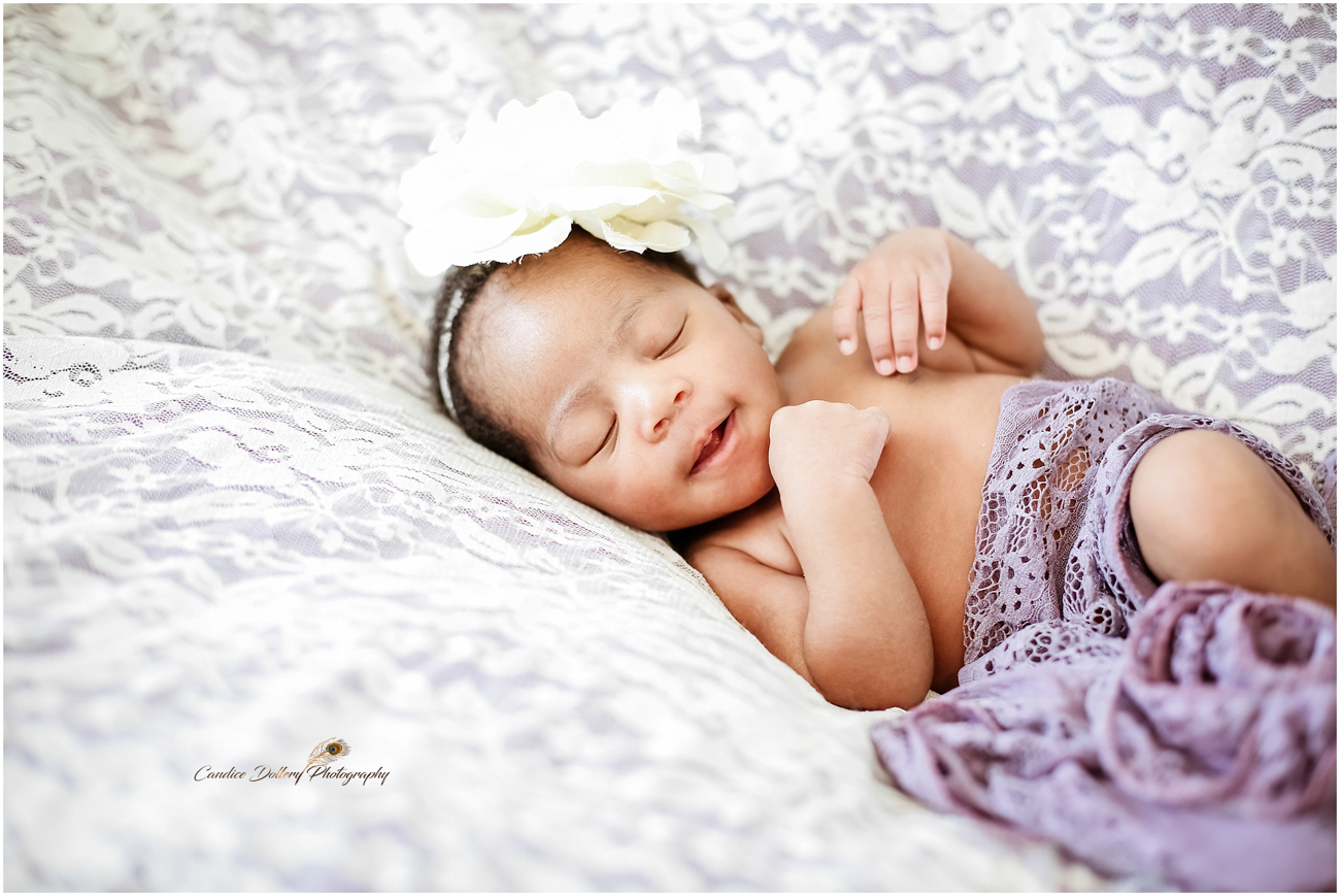 Newborn - Candice Dollery Photography_1060