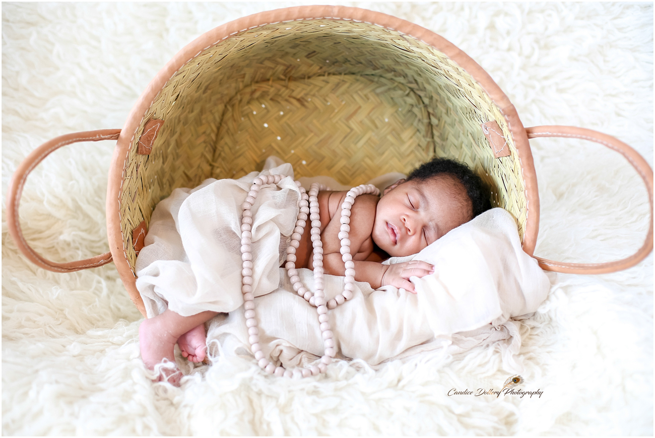 Newborn - Candice Dollery Photography_1076