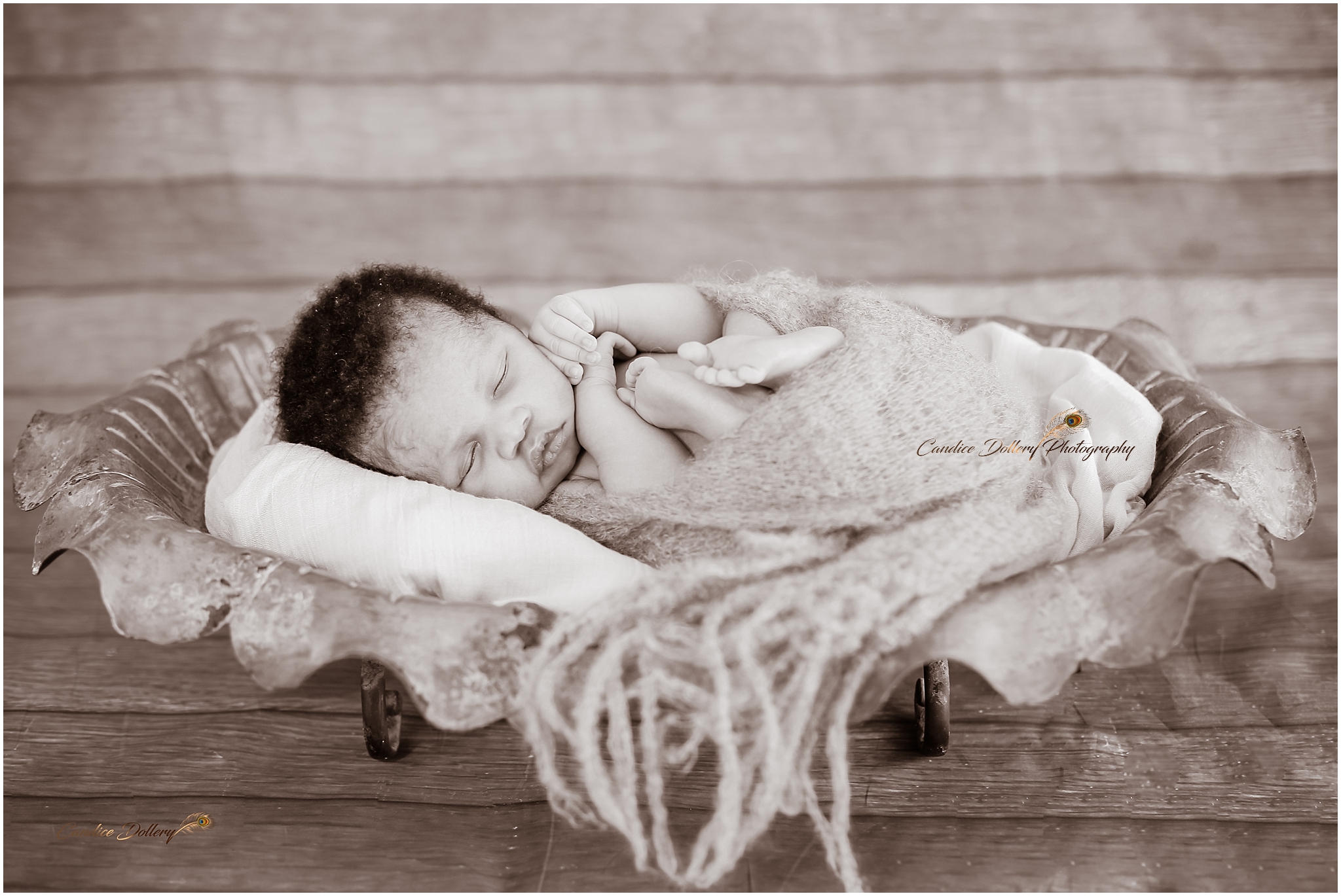 newborn Zihle - Candice Dollery Photography_1900