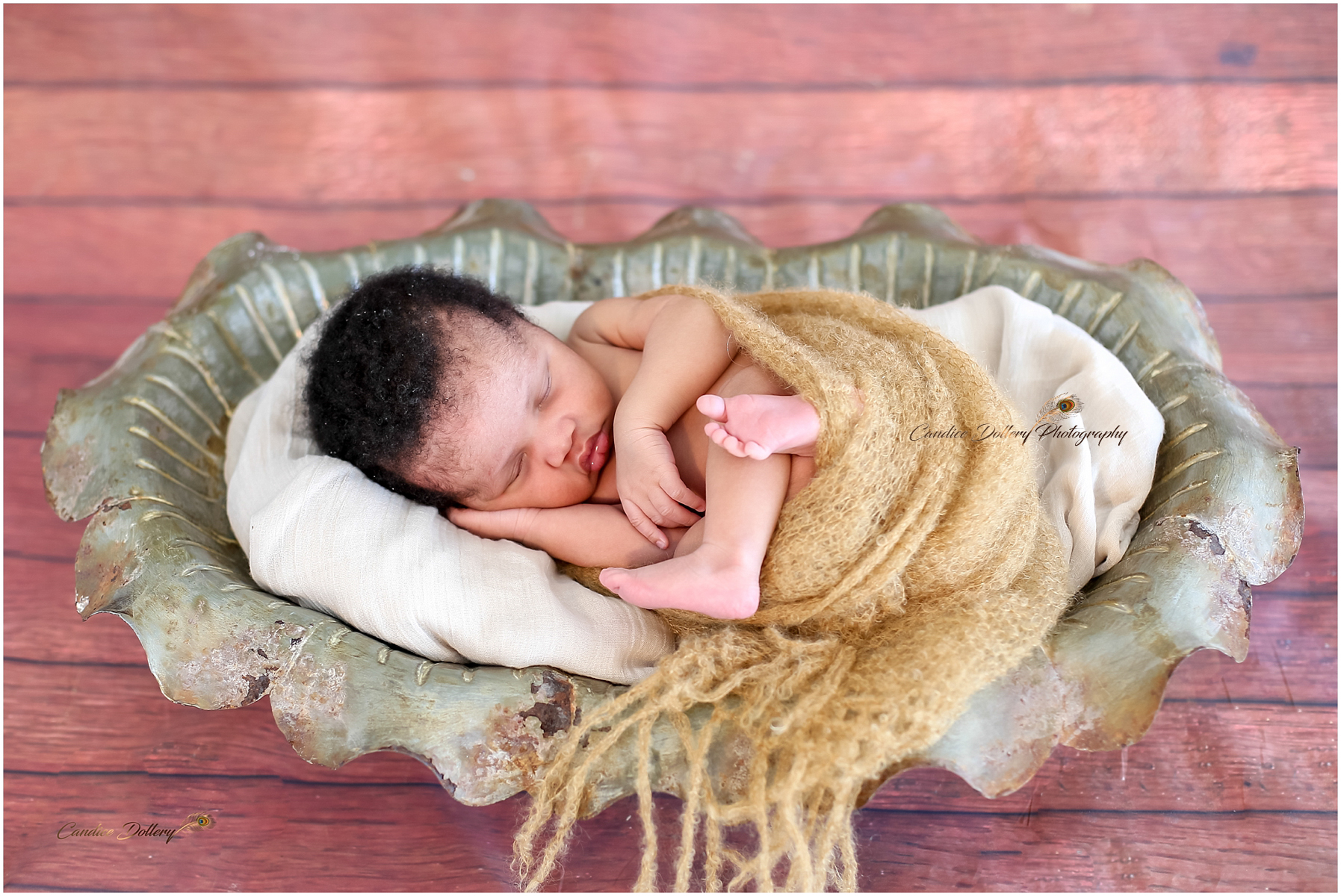 newborn Zihle - Candice Dollery Photography_1901