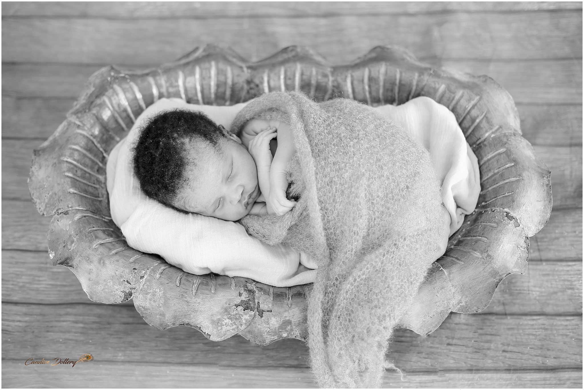 newborn Zihle - Candice Dollery Photography_1913