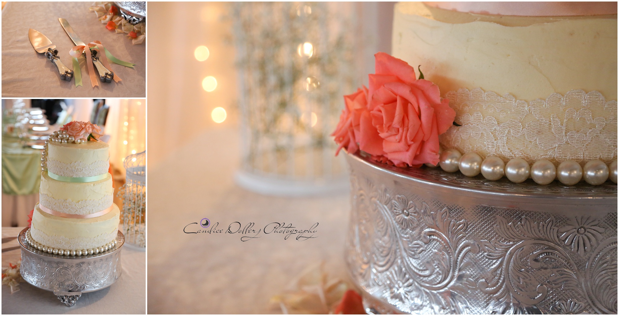 Paula & Jaycee's Wedding - Cypress Dale - Candice Dollery Photography_3062
