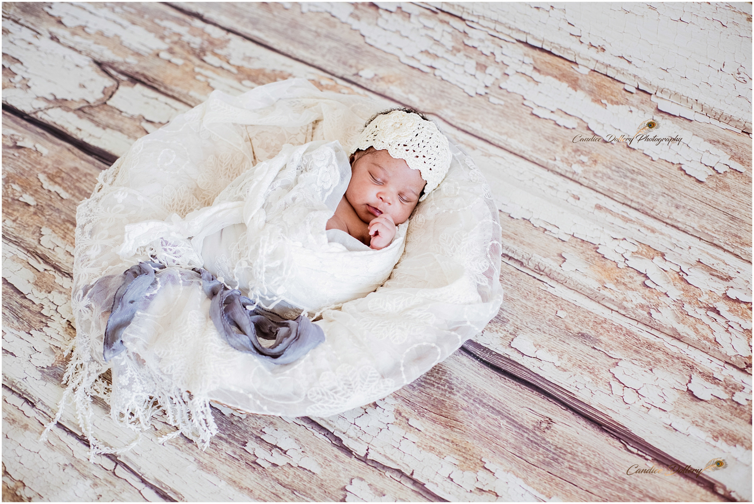Newborn - Candice Dollery Photography_009
