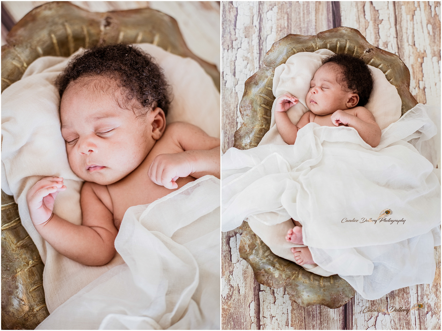 Newborn - Candice Dollery Photography_023