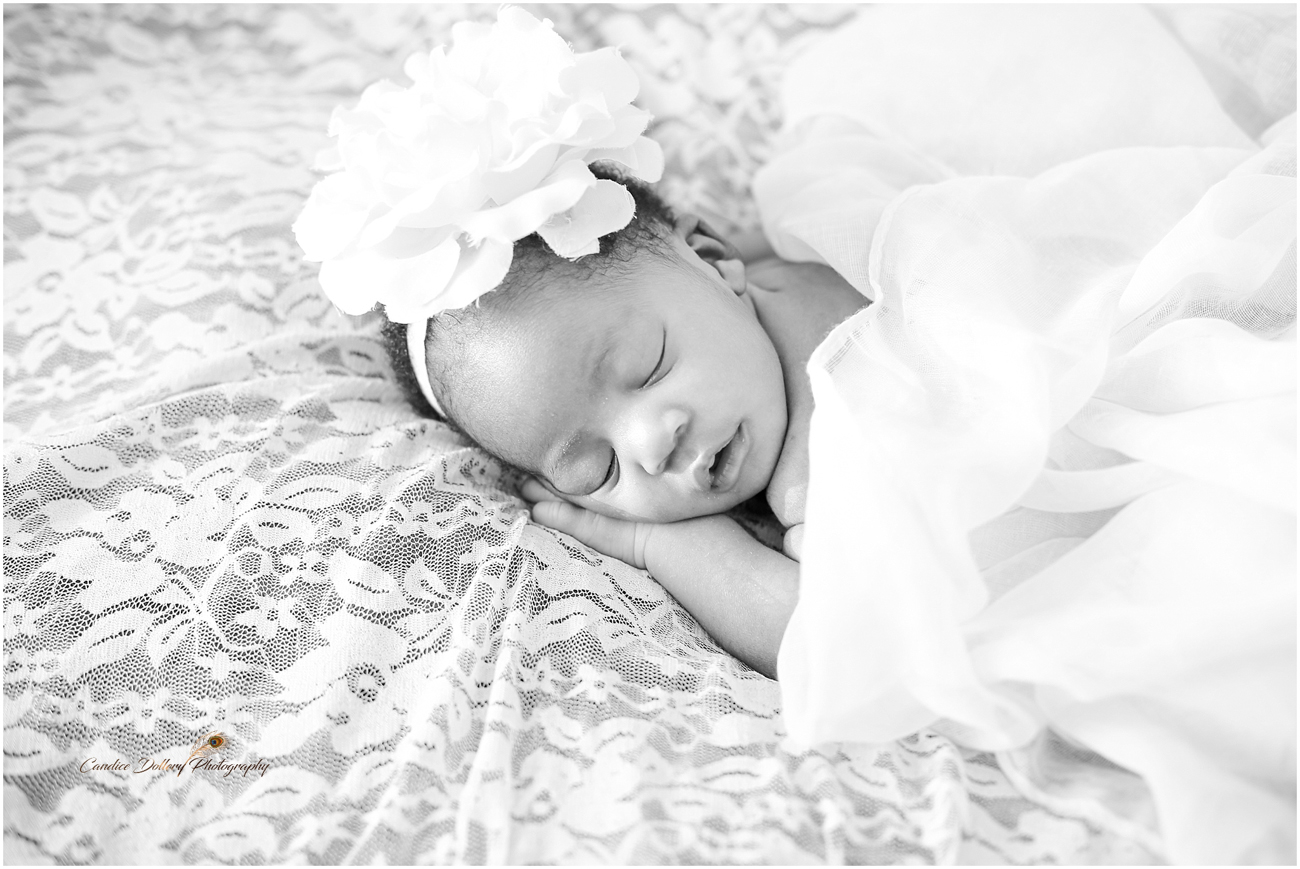 Newborn - Candice Dollery Photography_1049