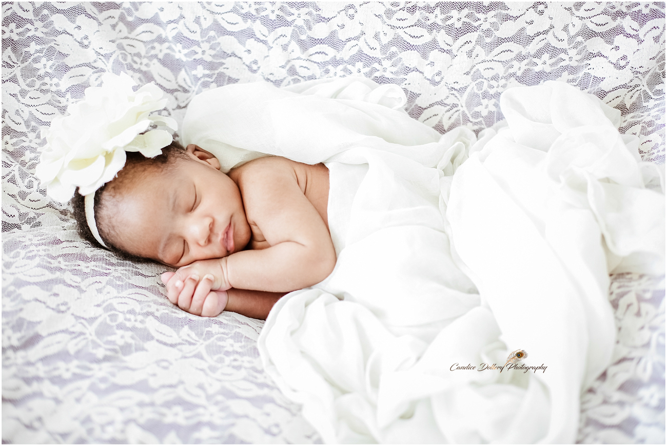 Newborn - Candice Dollery Photography_1055