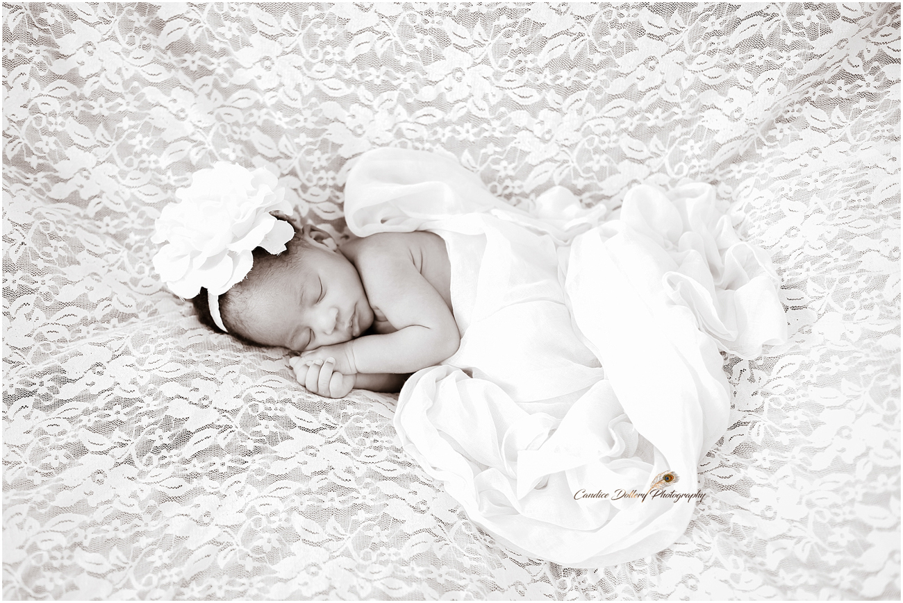 Newborn - Candice Dollery Photography_1057
