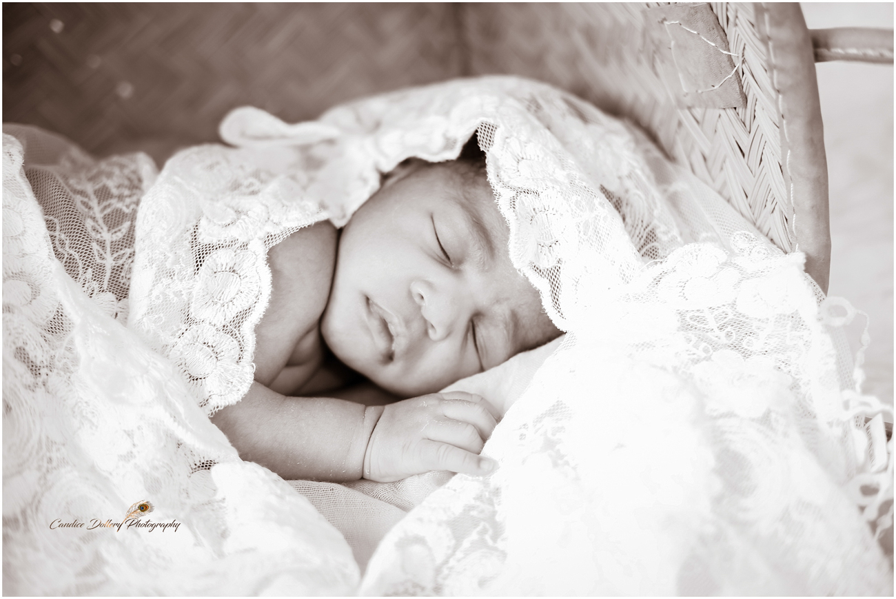 Newborn - Candice Dollery Photography_1071