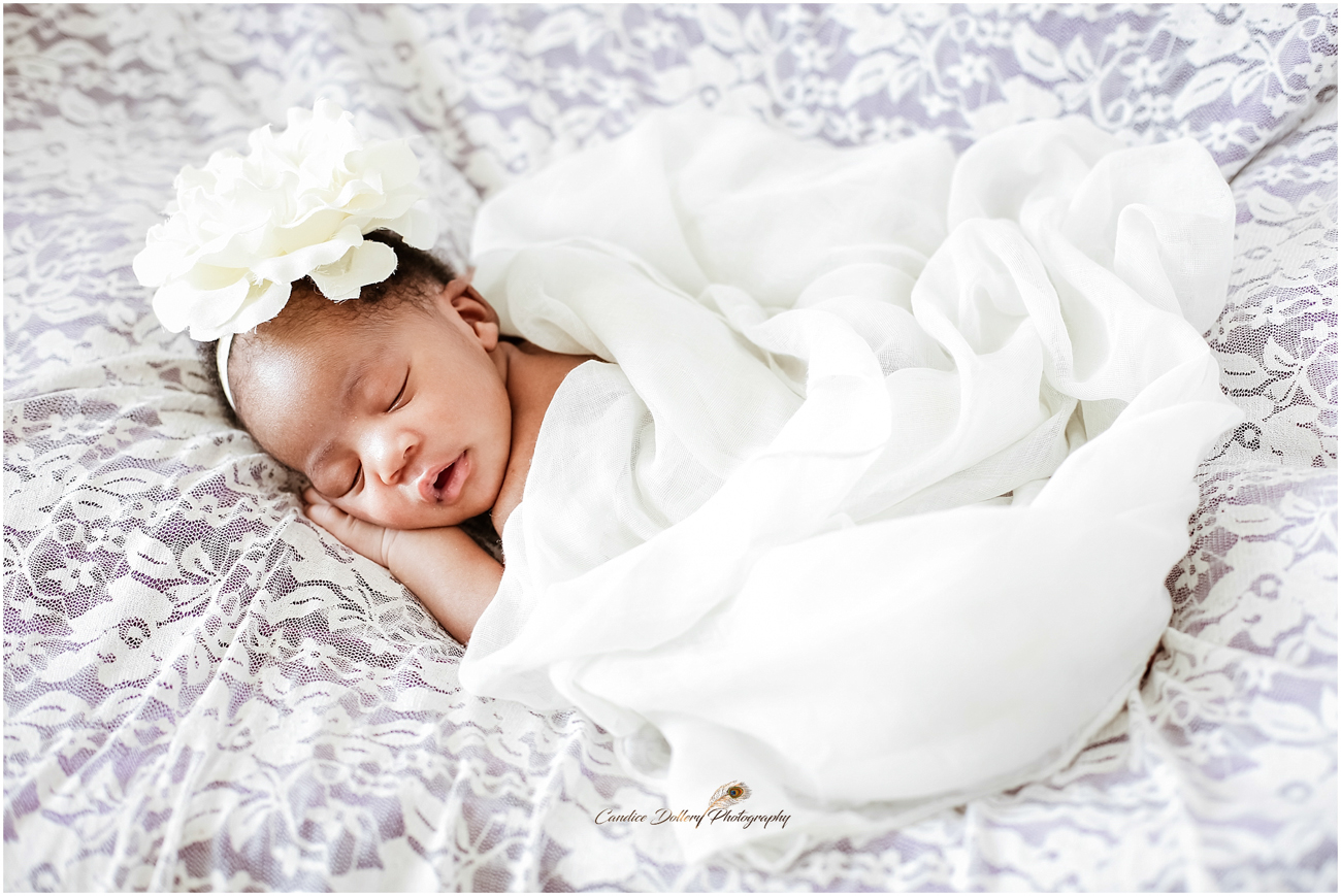 Newborn - Candice Dollery Photography_1050