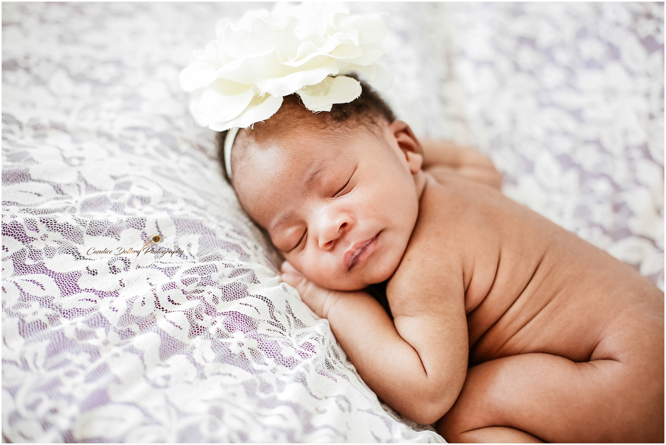 Newborn - Candice Dollery Photography_1051