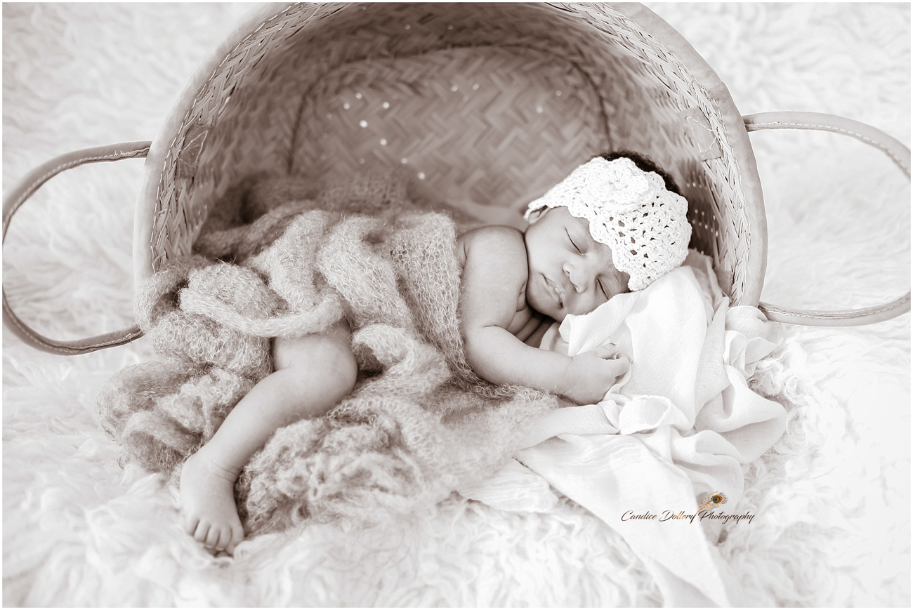 Newborn - Candice Dollery Photography_1065