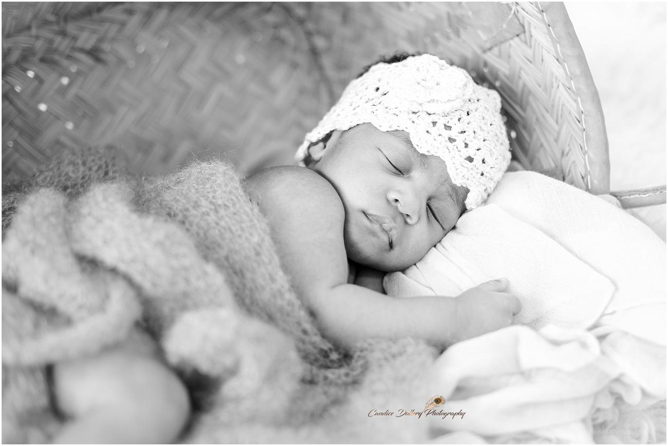Newborn - Candice Dollery Photography_1069