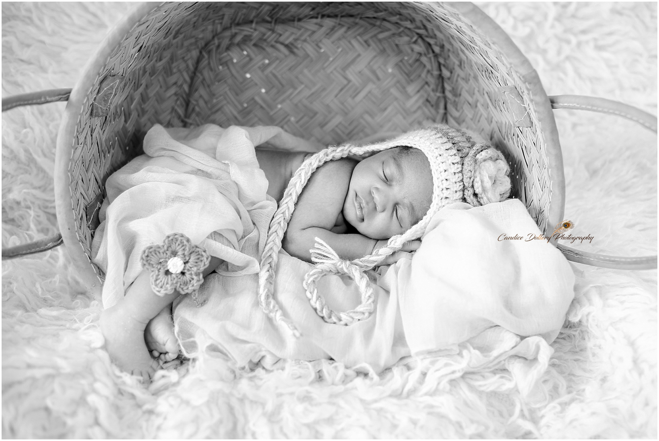 Newborn - Candice Dollery Photography_1082