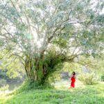 Tranquil maternity photoshoot in Nature